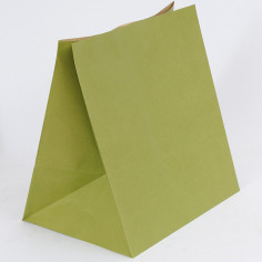 Sacchi Carta Box verde
