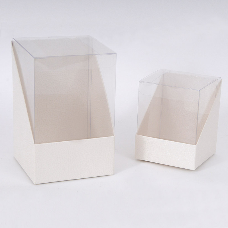 scatola in plastica trasparente per collezioni con base bianca