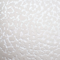 Scatola Trasparente con Base in Cartoncino Bianco - Duo texture