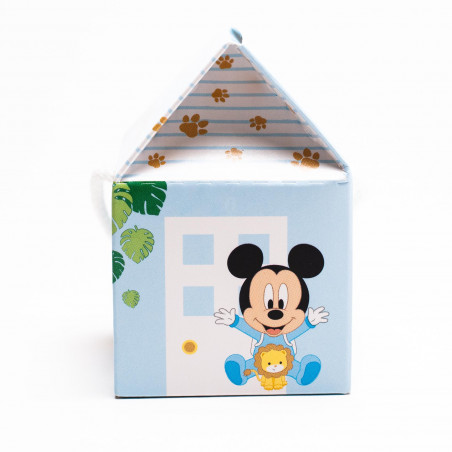 Scatoline a Casetta - Disney, Mis. Cm 5,5x5,5x5H