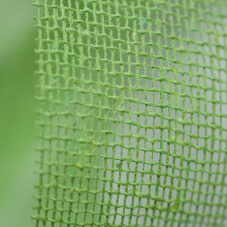 Nastro in Cotone Ecologico a Rete Fascia Larga verde chiaro