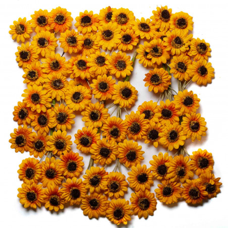 Mazzolino Girasoli