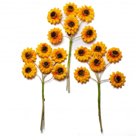 Mazzolino Girasoli