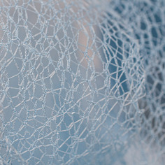 Rete in Fili di Cotone Intrecciato a Fascia Larga - Paradise azzurro texture