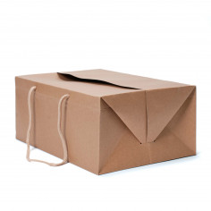 Bag Box in Carta Resistente Rettangolare