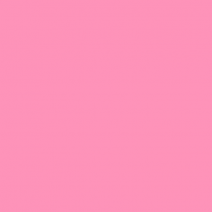 Fogli in Carta Velina Colorata - Cm 50x76 Confezione da 24 Fogli rosa