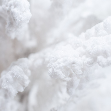 Albero Bianco Innevato