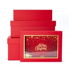 Scatole Rigida Rettangolare con Finestra Merry Christmas - Rosso