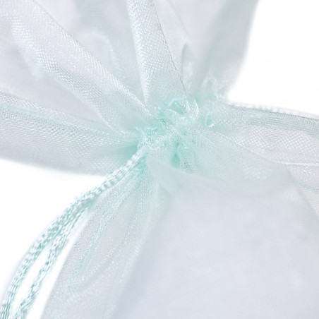 Sacchetto Organza Grande cm 17x24