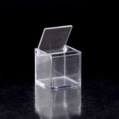 Scatola in Plexiglass Cubo