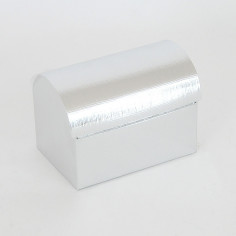 scatola Cofanetto argento